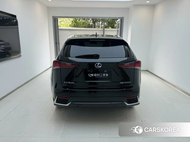 Lexus NX id 4210834 из Китая 7