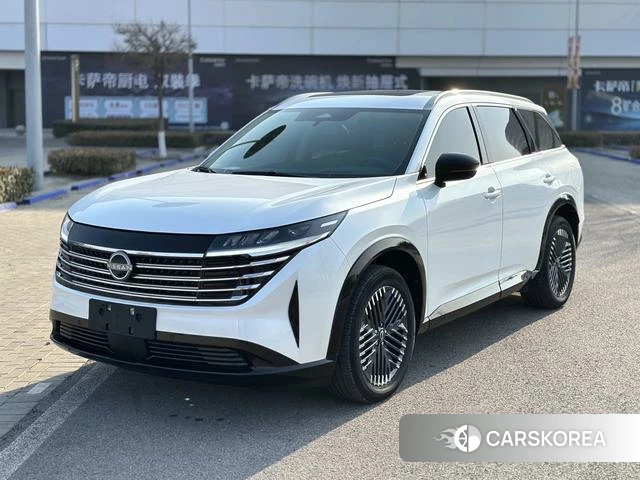 Nissan Exploring the land id 4273105 из Китая 7