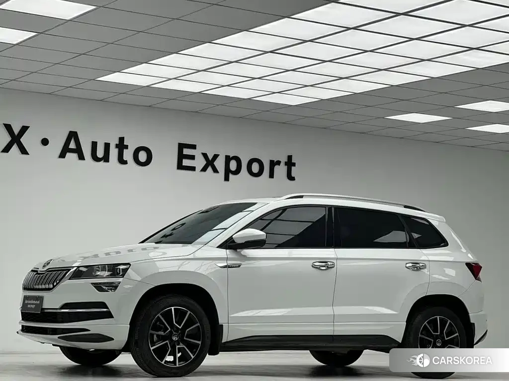 Skoda Karoq id 4680523 из Китая 7