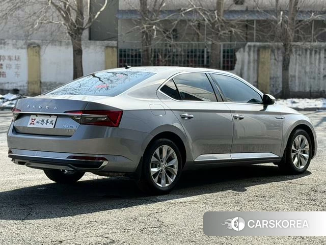 Skoda Speed pie id 4207761 из Китая 7