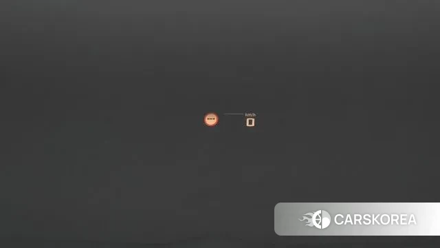 BMW X4 (G02) id 3753292 из Кореи 7