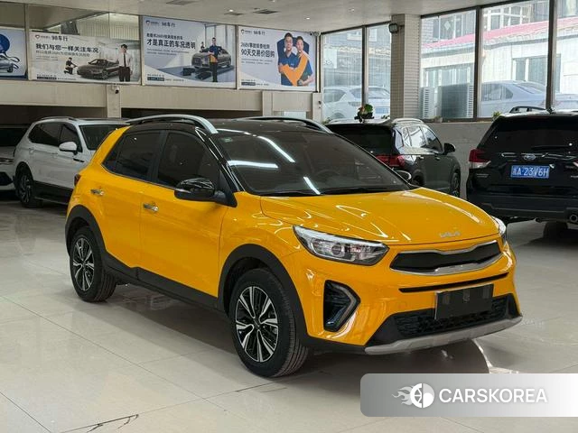 Kia Yi Ran id 4314684 из Китая 7