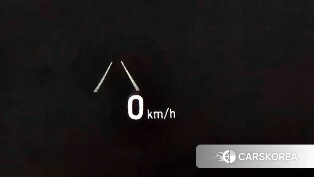 Genesis G80 id 3021059 из Кореи 7