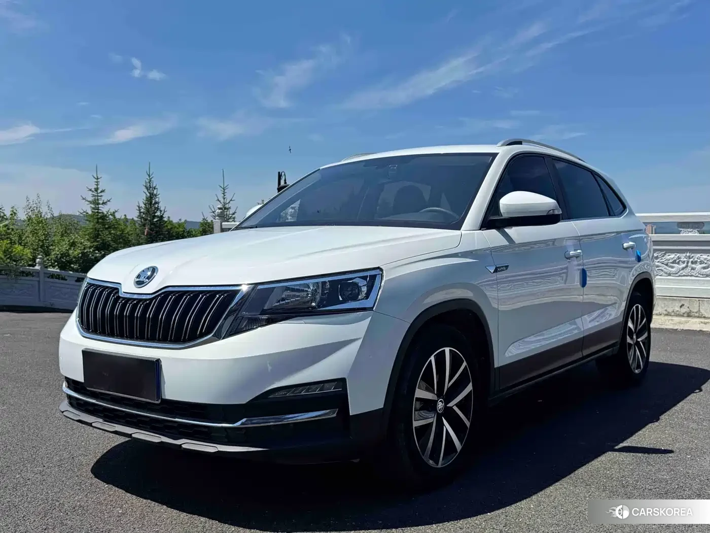 Skoda Kamiq id 4601820 из Китая 7