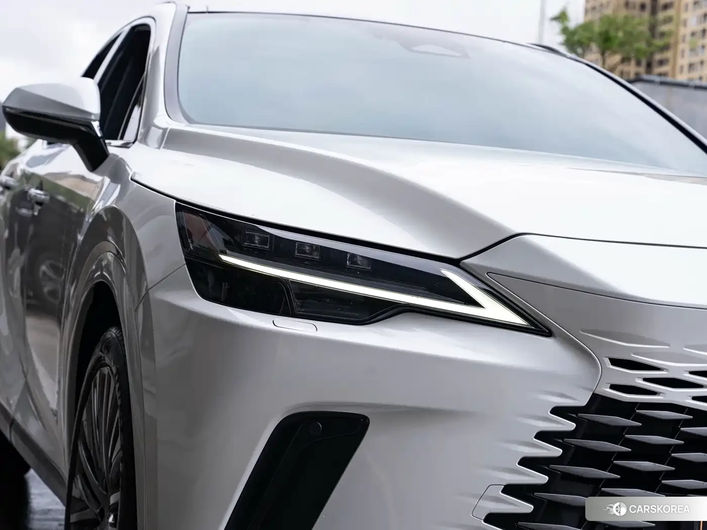 Lexus RX id 4654457 из Китая 7