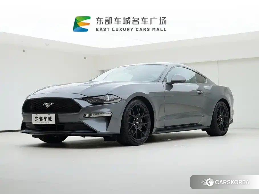 Ford Mustang id 4583857 из Китая 7