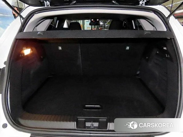 Renault Korea (Samsung) Capture id 4677284 из Кореи 7