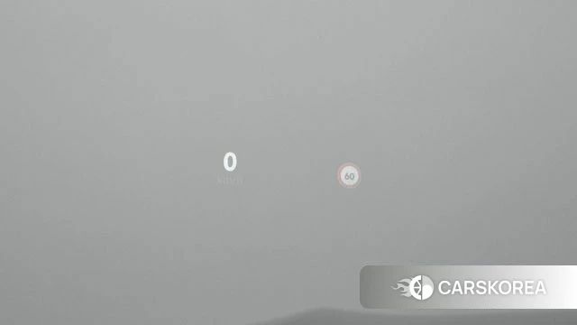 Renault Korea (Samsung) Grand Coleos id 3882898 из Кореи 7