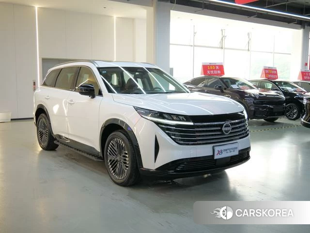 Nissan Exploring the land id 4279392 из Китая 7