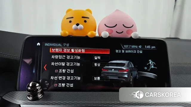 BMW X4 (G02) id 3156496 из Кореи 7