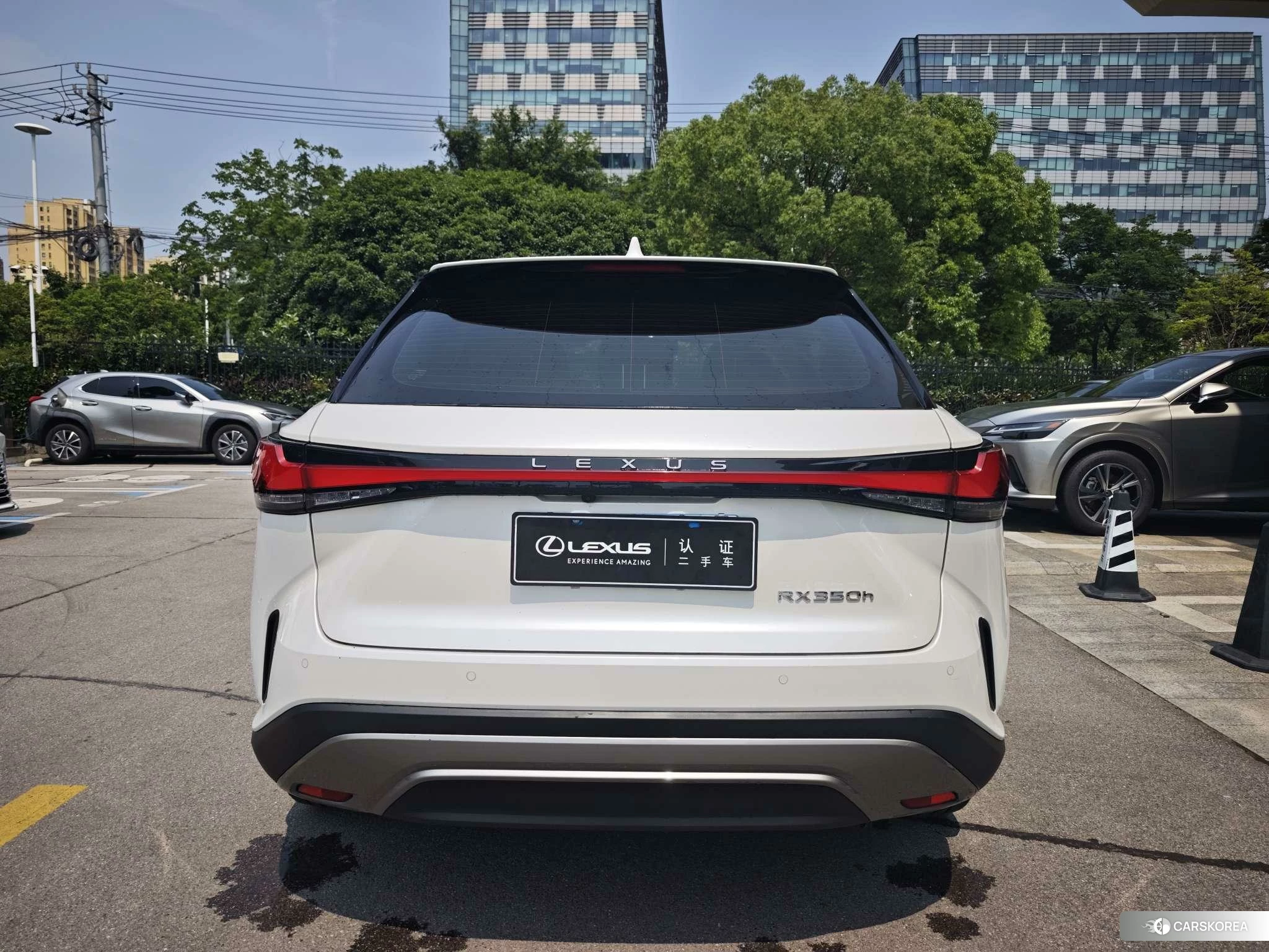 Lexus RX id 4512434 из Китая 7