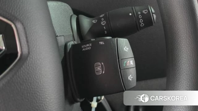 Renault Korea (Samsung) Master id 4499702 из Кореи 7