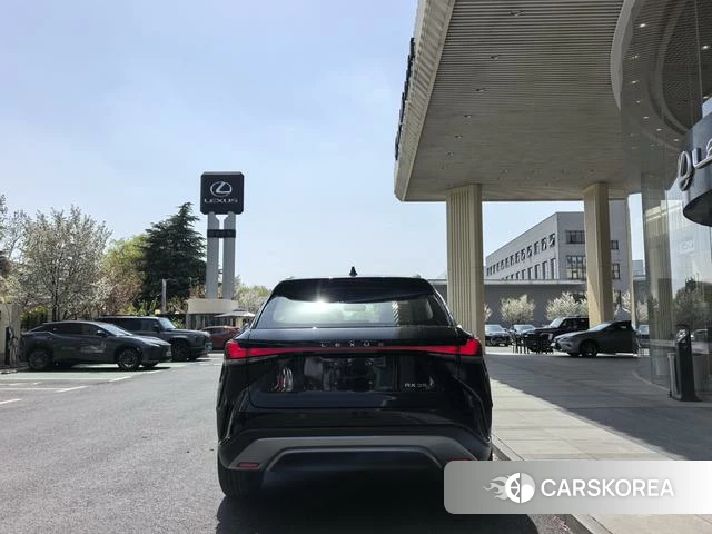 Lexus RX id 4274147 из Китая 7