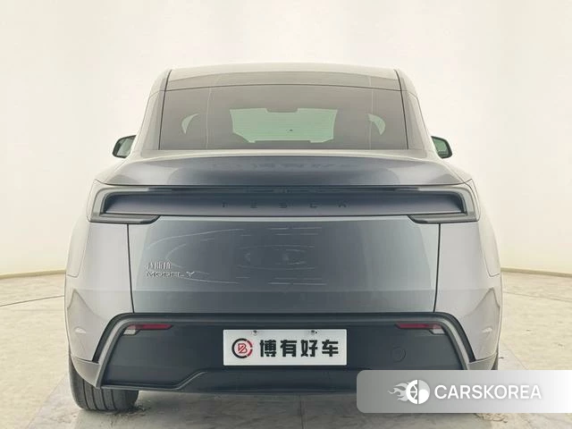 Tesla Model Y id 3920128 из Китая 7