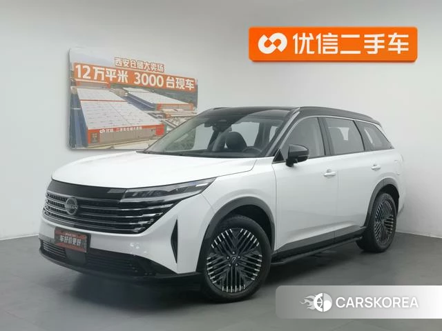 Nissan Exploring the land id 4307145 из Китая 7