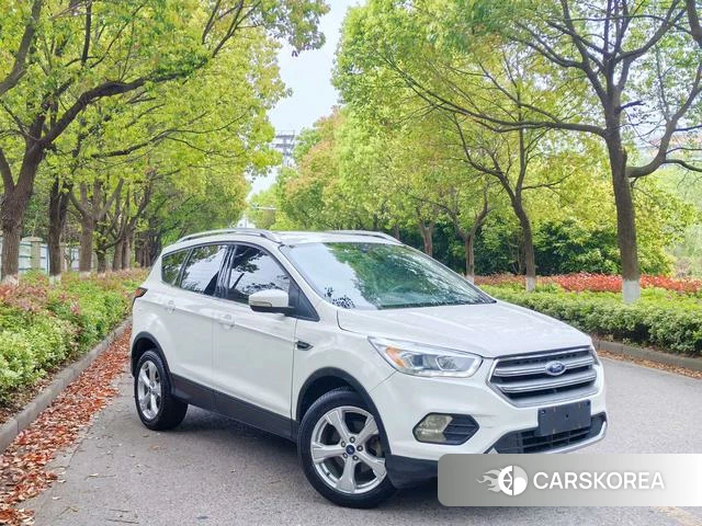 Ford Winged Tiger id 4209425 из Китая 7