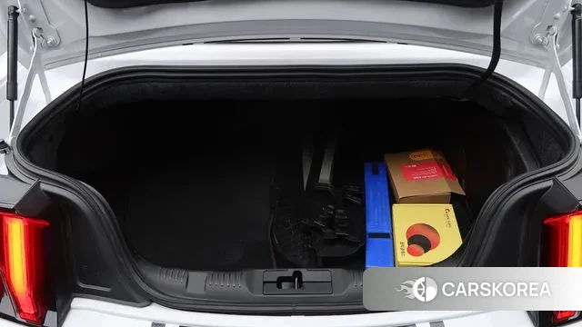 Ford Mustang id 3344287 из Кореи 7