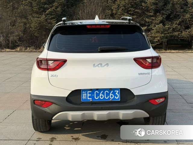 Kia Yi Ran id 4313558 из Китая 7