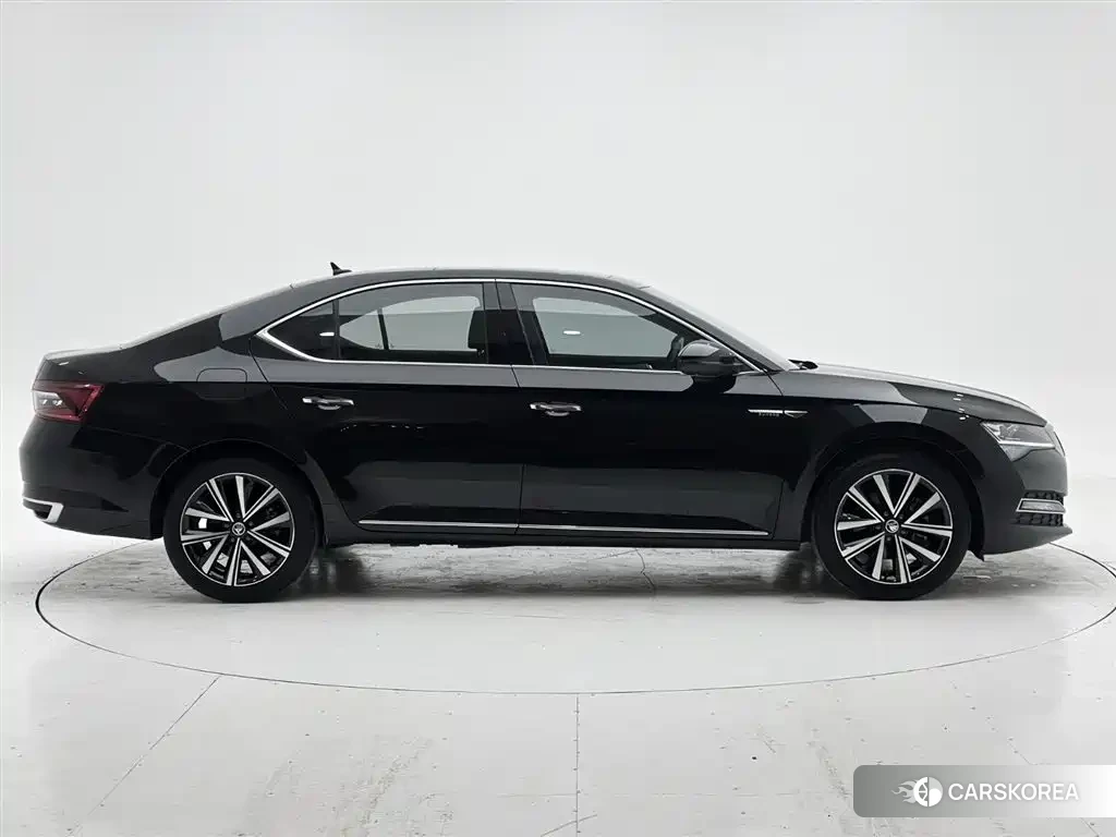 Skoda Speed pie id 4578276 из Китая 7
