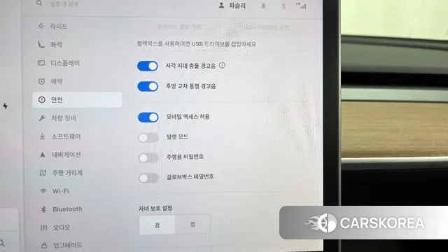 Tesla Model 3 id 3753743 из Кореи 7