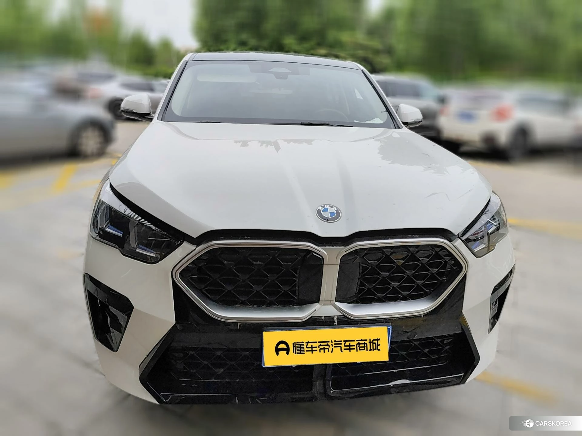 BMW X2 (import) id 4468186 из Китая 7