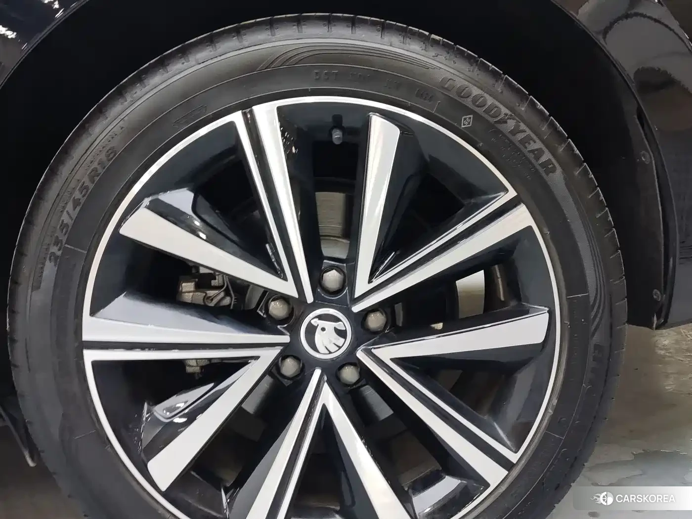 Skoda Speed pie id 4545666 из Китая 7