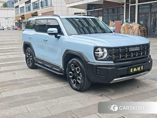 Haval Cool dog id 3983383 из Китая 7