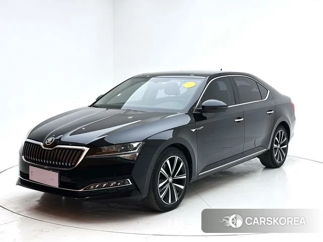 Skoda Speed pie id 4368038 из Китая 7