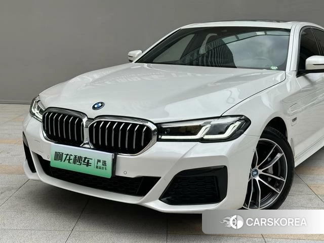 BMW 5 series PHEV id 4336360 из Китая 7