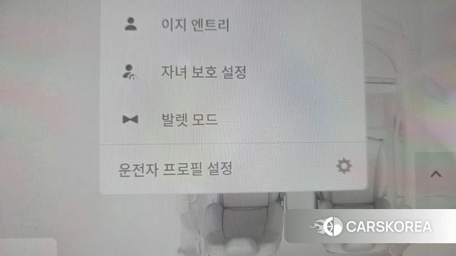 Tesla Model 3 id 3934804 из Кореи 7