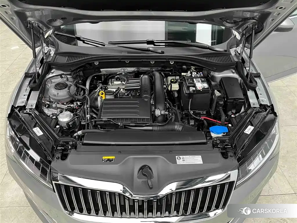 Skoda Speed pie id 4515552 из Китая 7