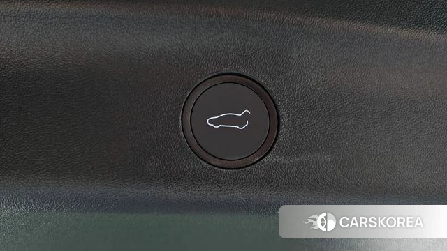 Tesla Model Y id 4381784 из Кореи 7