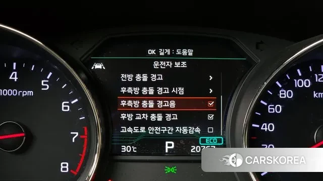 Kia The New Carnival id 3060101 из Кореи 7