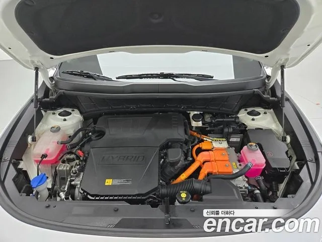 Kia Di Ol Nu Niro id 2868344 из Кореи 7