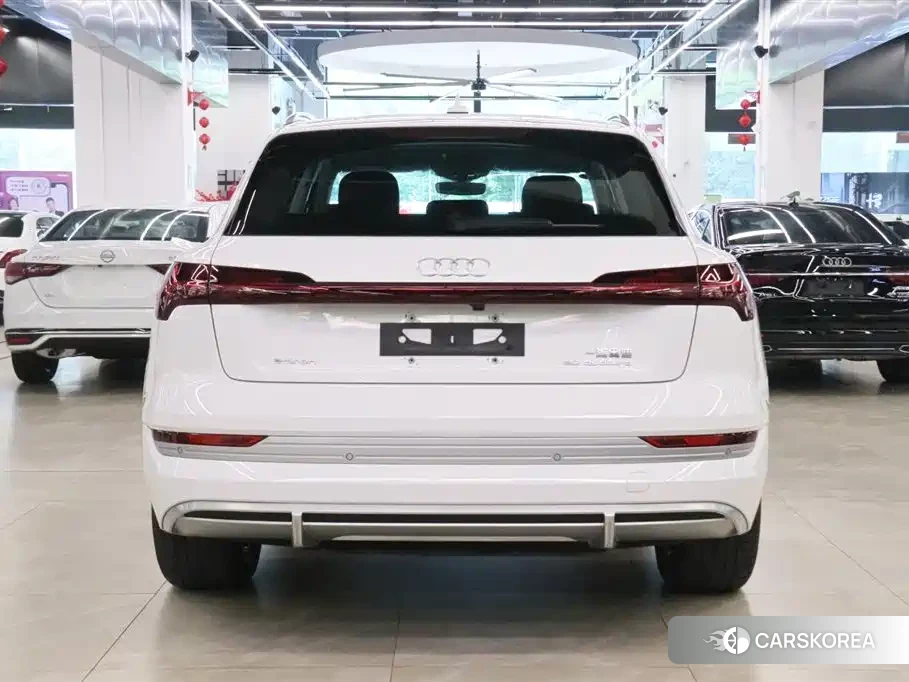 Audi e-tron id 4680668 из Китая 7
