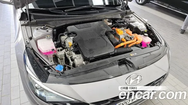 Hyundai Avante Hybrid (CN7) id 2699404 из Кореи 7