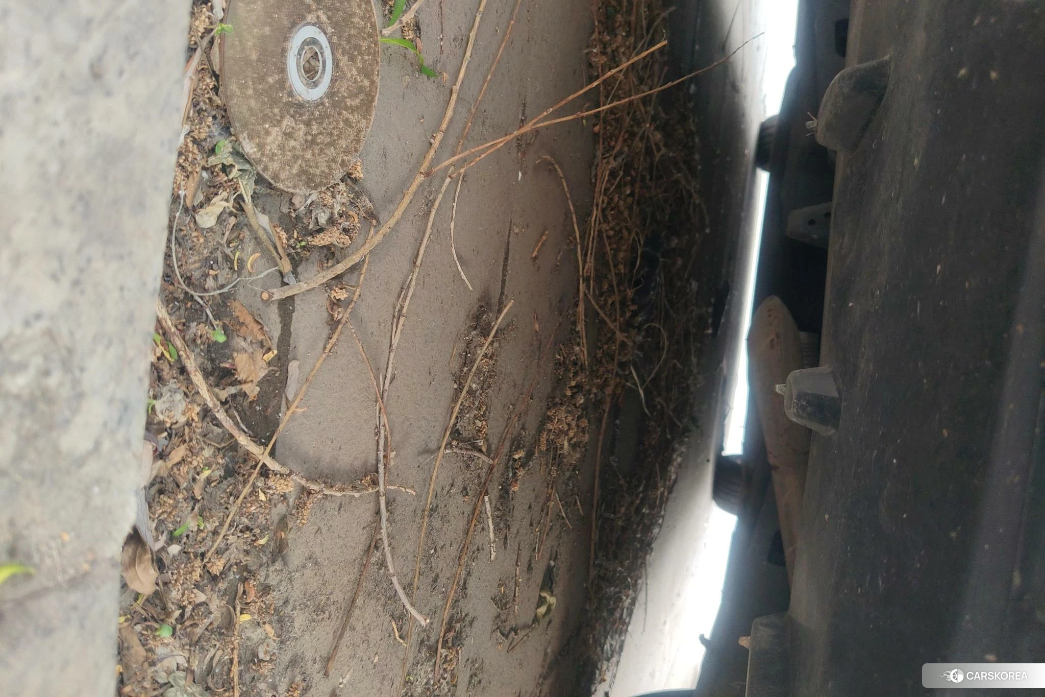 Toyota Levin id 4437834 из Китая 7