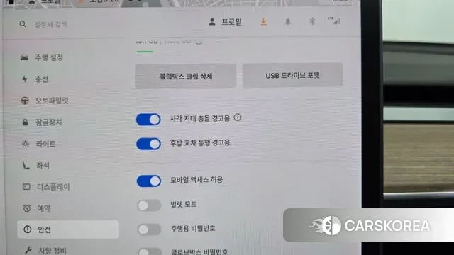 Tesla Model 3 id 3621161 из Кореи 7