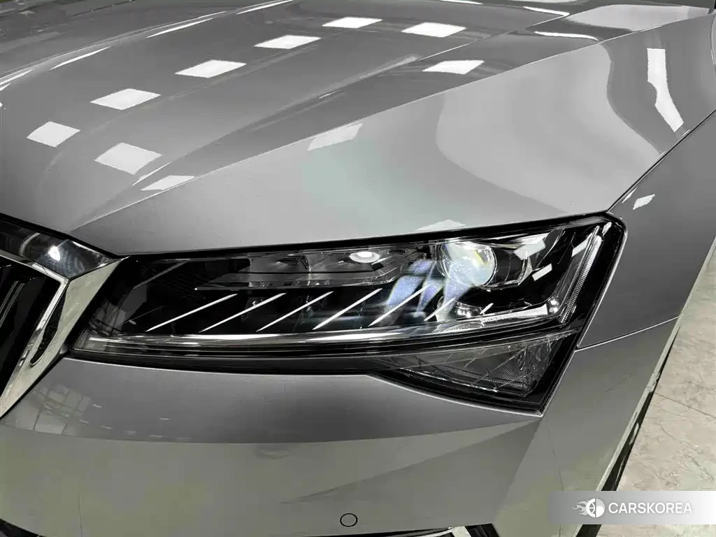 Skoda Speed pie id 4577562 из Китая 7