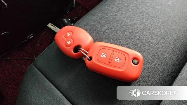 Renault Korea (Samsung) Master id 4647138 из Кореи 7