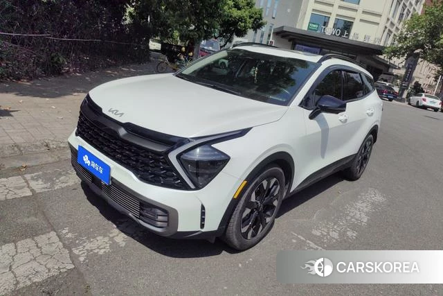 Kia Lion Platinum expands the world id 4262402 из Китая 7