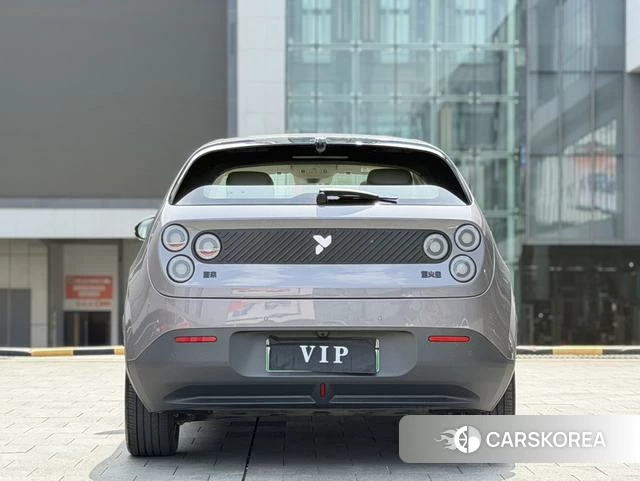 firefly firefly Unknown id 4198869 из Китая 7