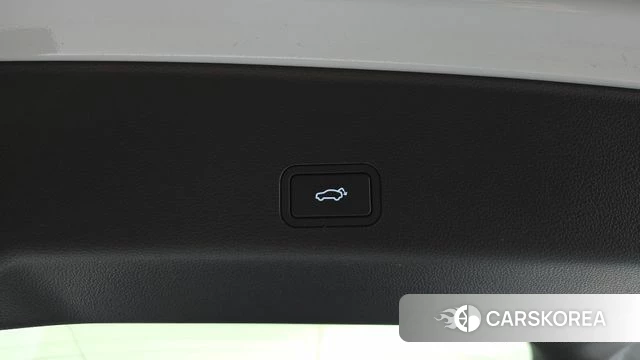 Renault Korea (Samsung) Grand Coleos id 4432556 из Кореи 7