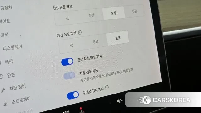 Tesla Model 3 id 3389863 из Кореи 7