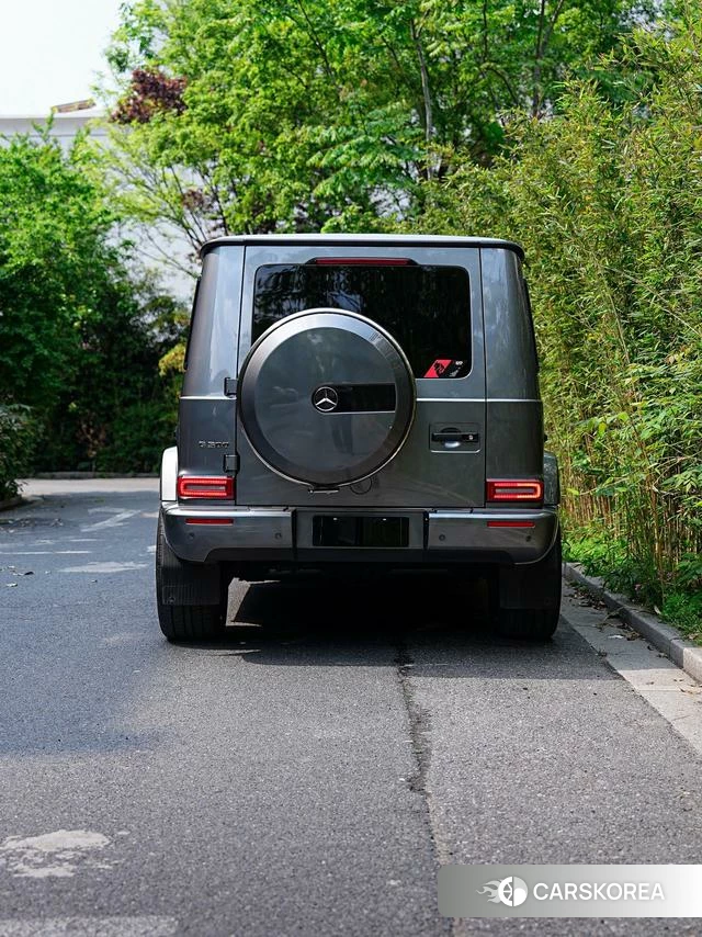 Mercedes-Benz G-class id 4300814 из Китая 7