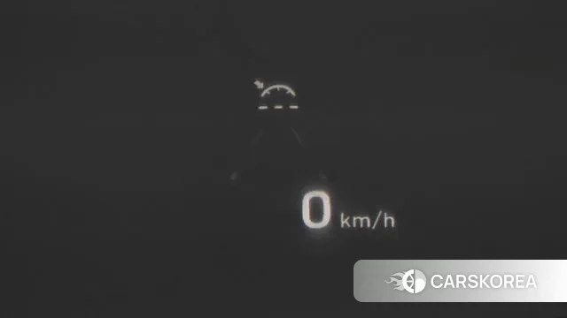 Hyundai Palisade id 3530605 из Кореи 7