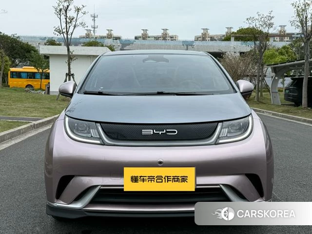 BYD dolphin id 4211195 из Китая 7