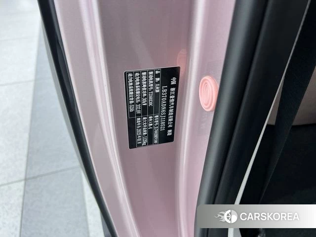 Geely Galaxy panda id 3907942 из Китая 7