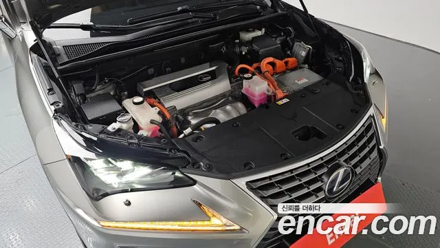 Lexus NX300h id 2700624 из Кореи 7