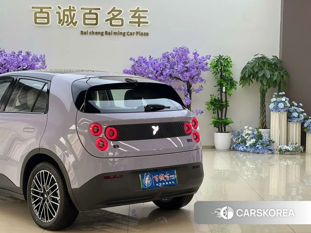 firefly firefly Unknown id 4198925 из Китая 7